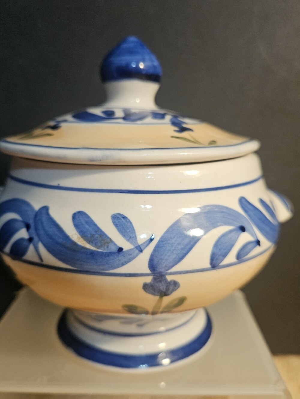 Herend Village Pottery Splash Sugar Bowl with Lid Hand Painted Hungary IJ Mark